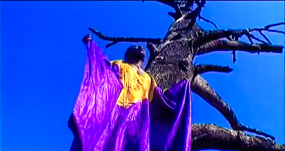 Nkhujipeleka cover